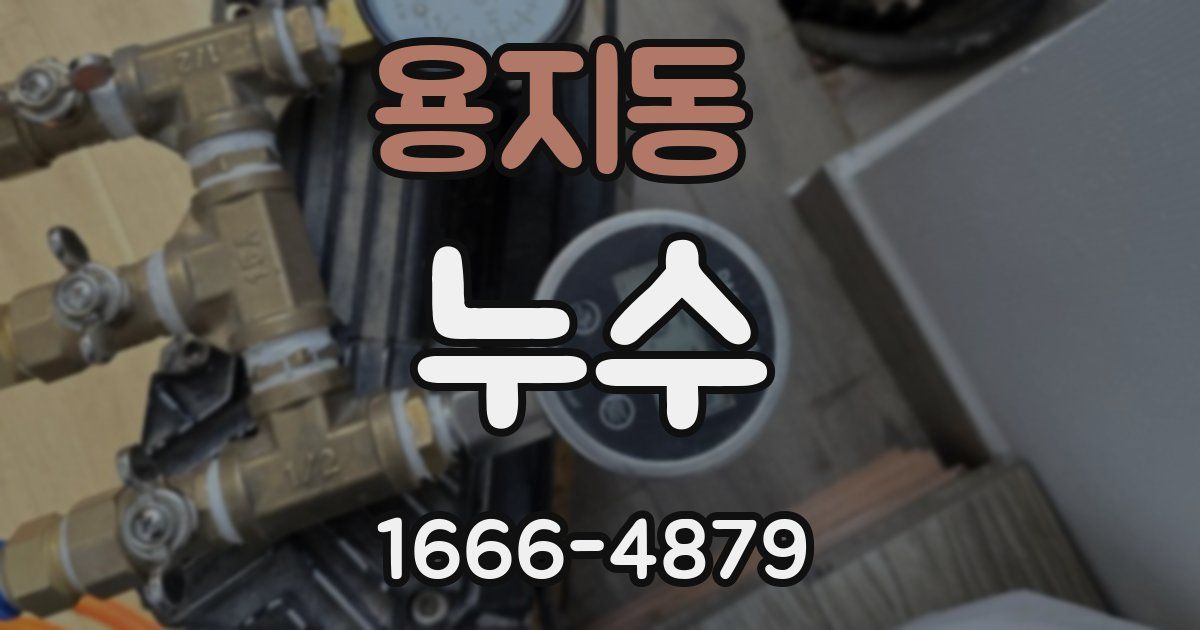 용지동 누수