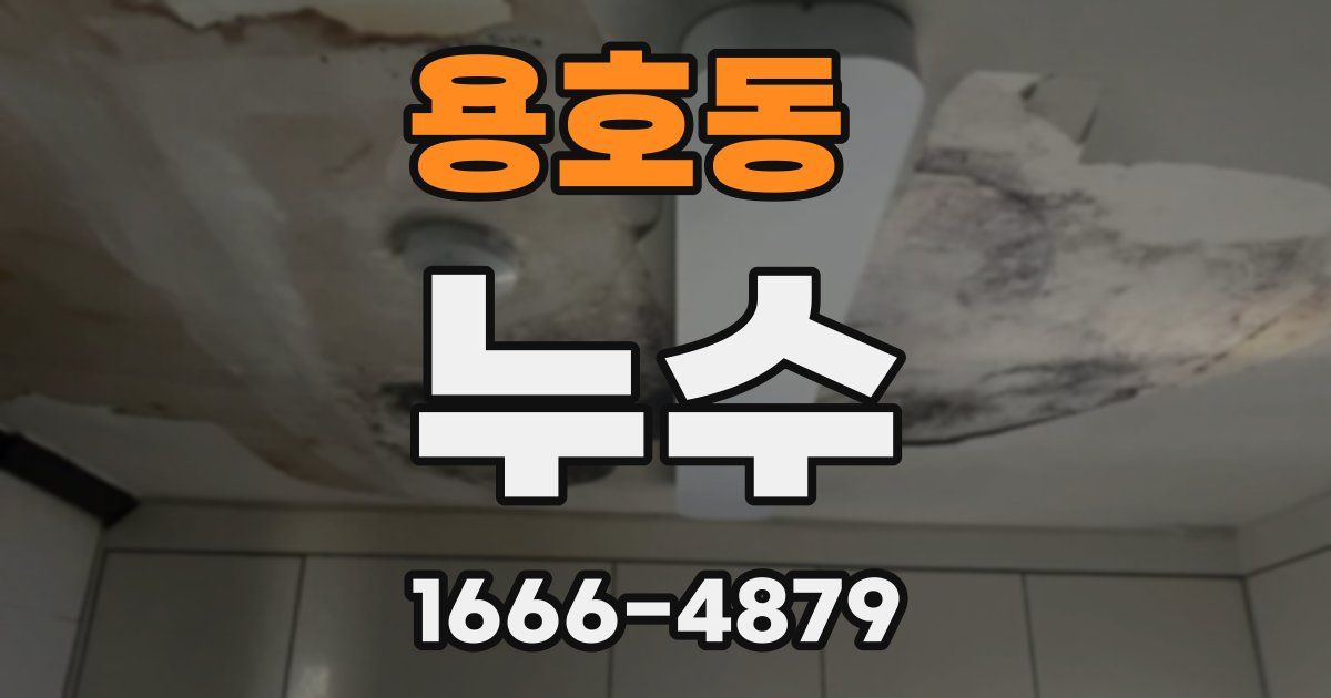 용호동 누수