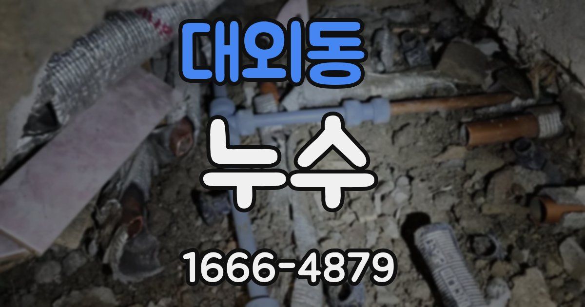 대외동 누수