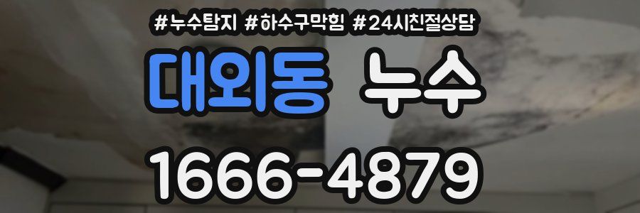 대외동 누수