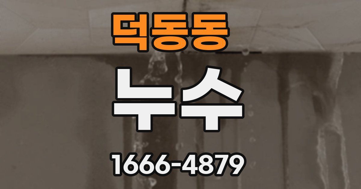 덕동동 누수