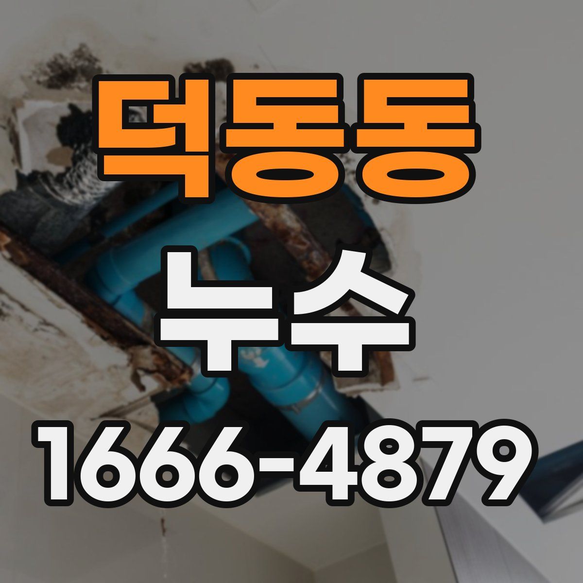 덕동동 누수