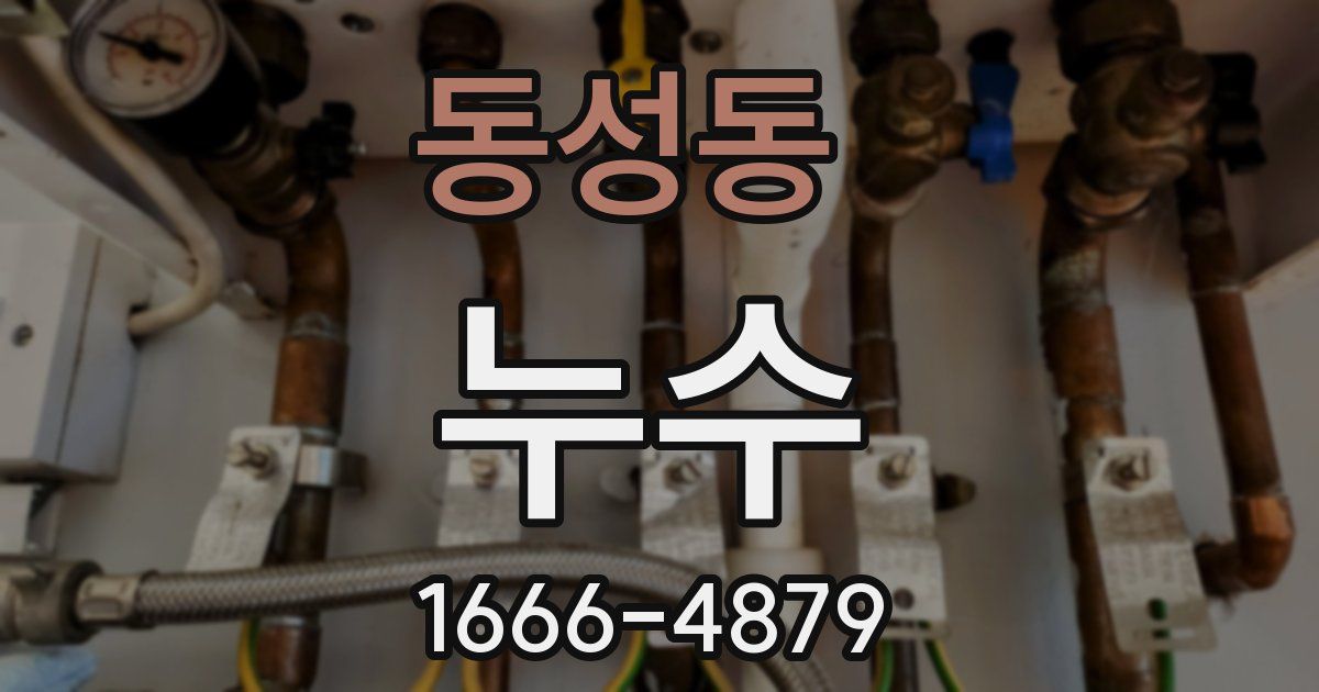 동성동 누수