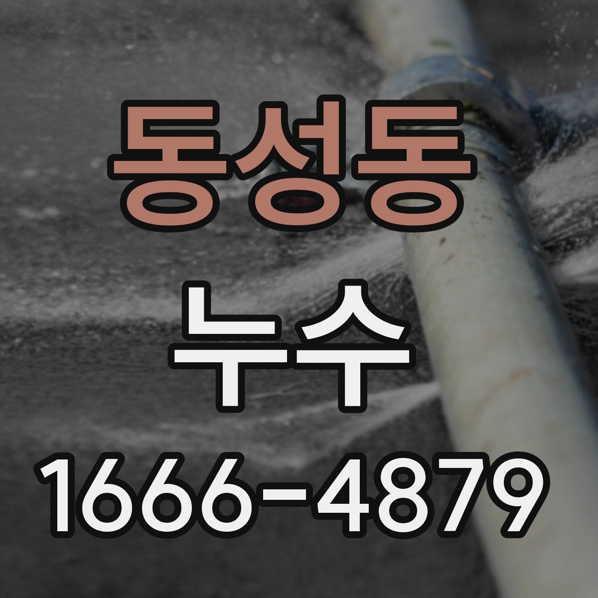 동성동 누수