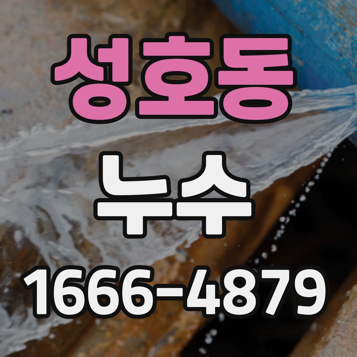 성호동 누수