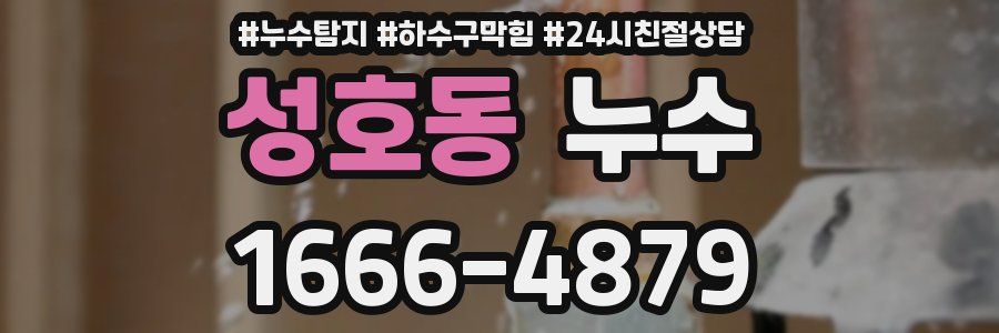 성호동 누수