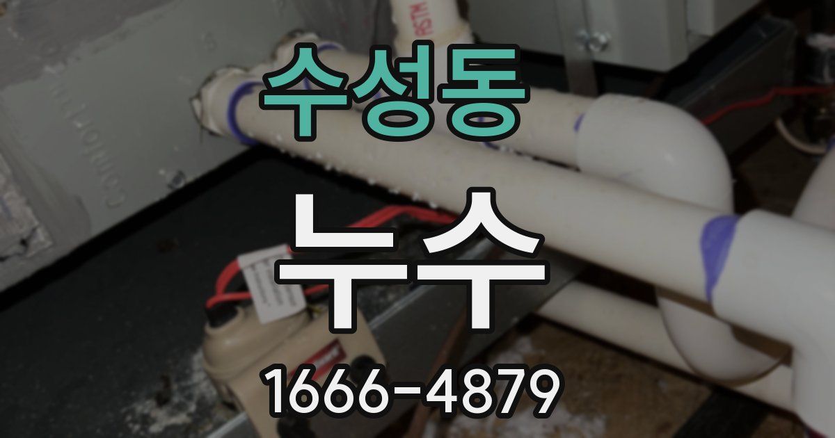 수성동 누수