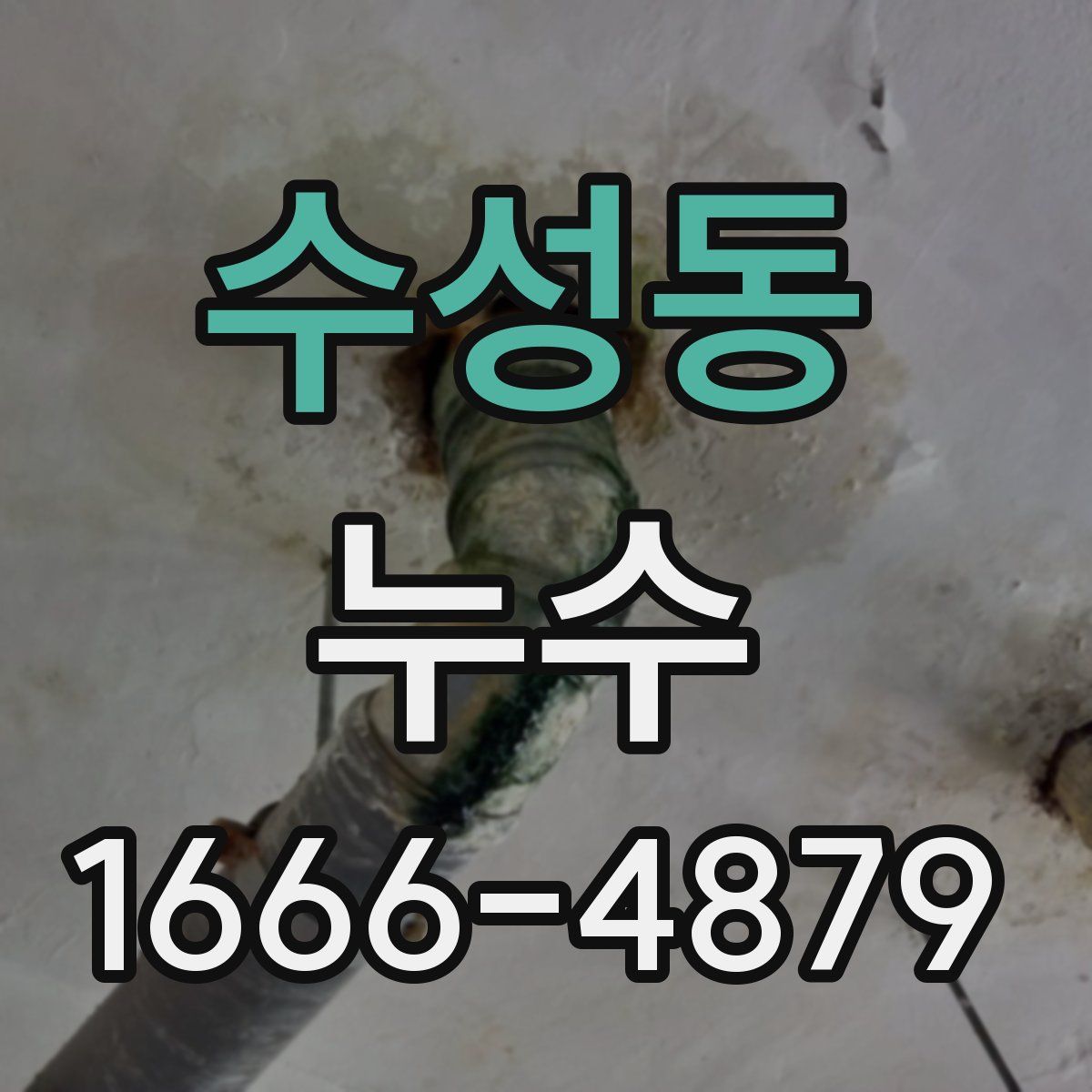 수성동 누수