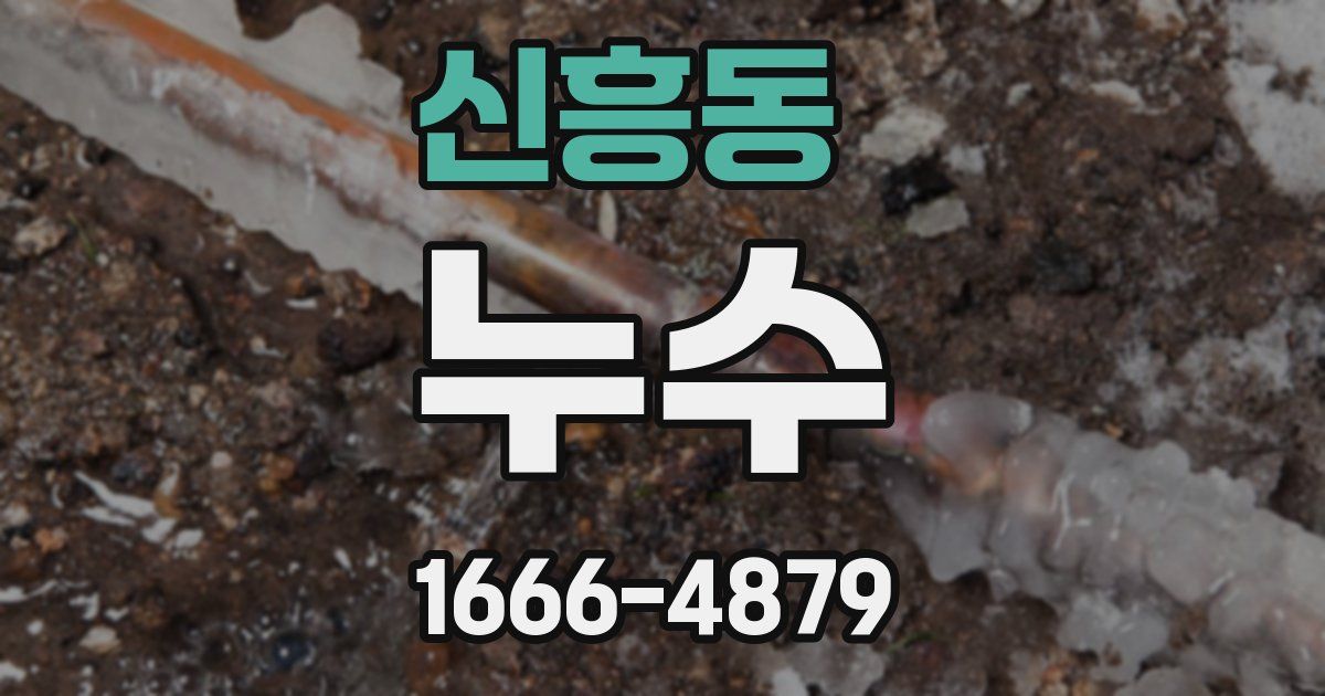 신흥동 누수