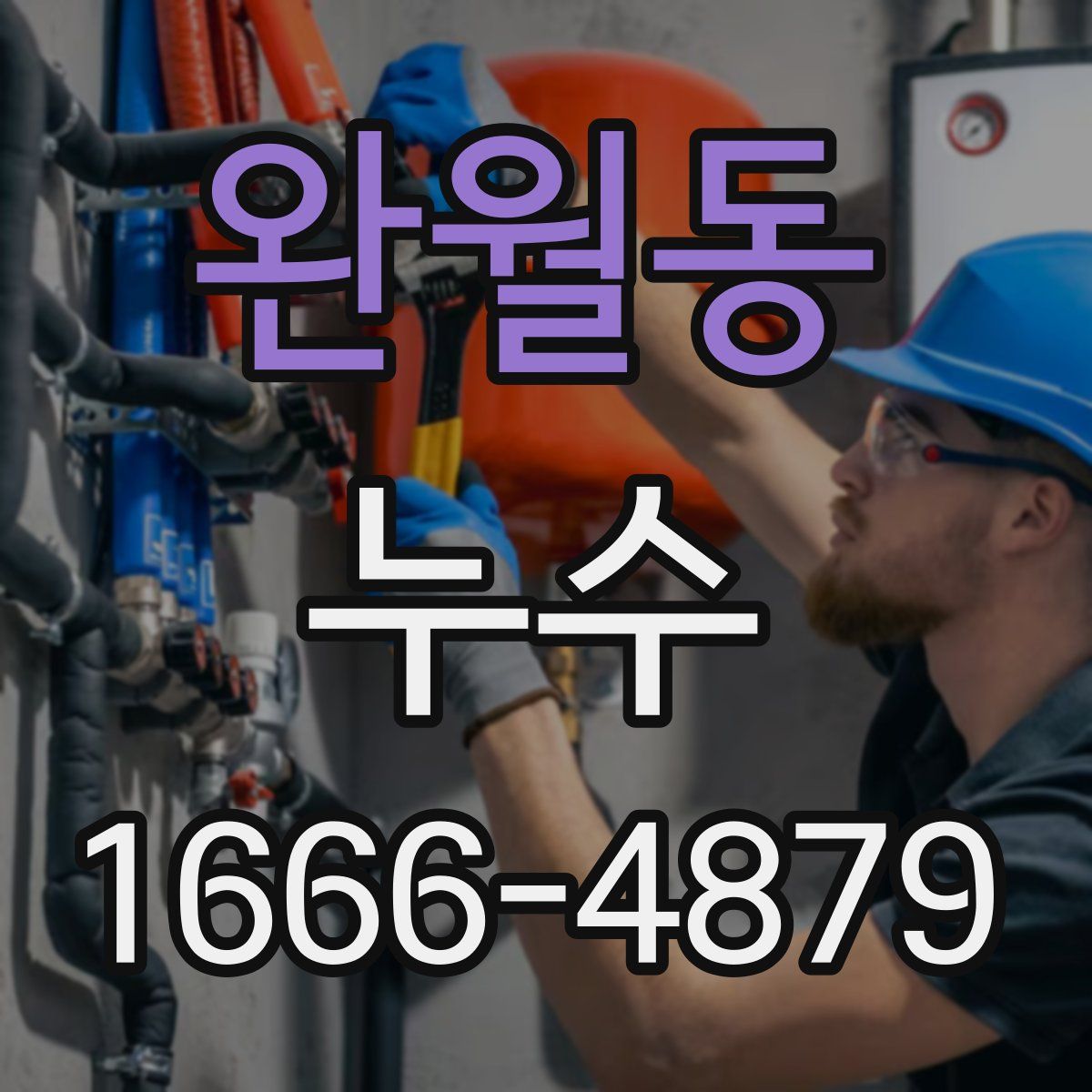 완월동 누수