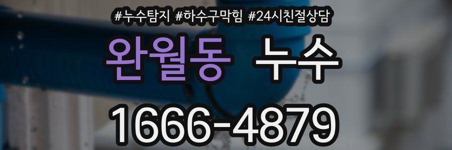 완월동 누수
