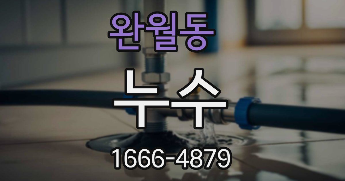 완월동 누수