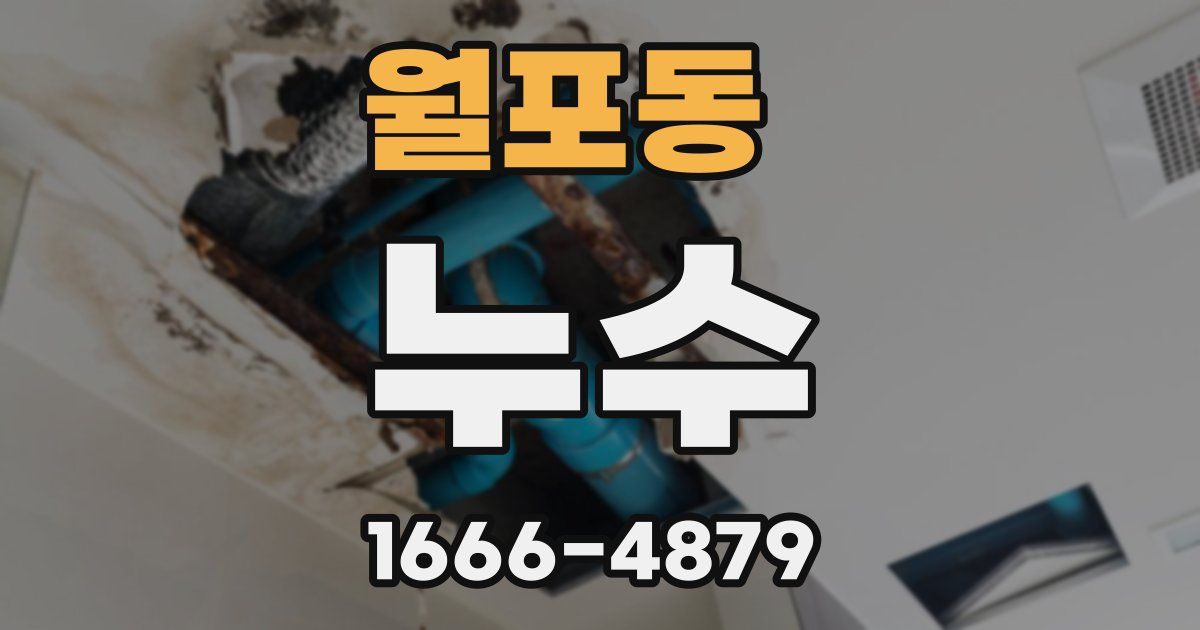월포동 누수