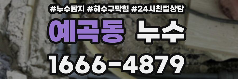 예곡동 누수
