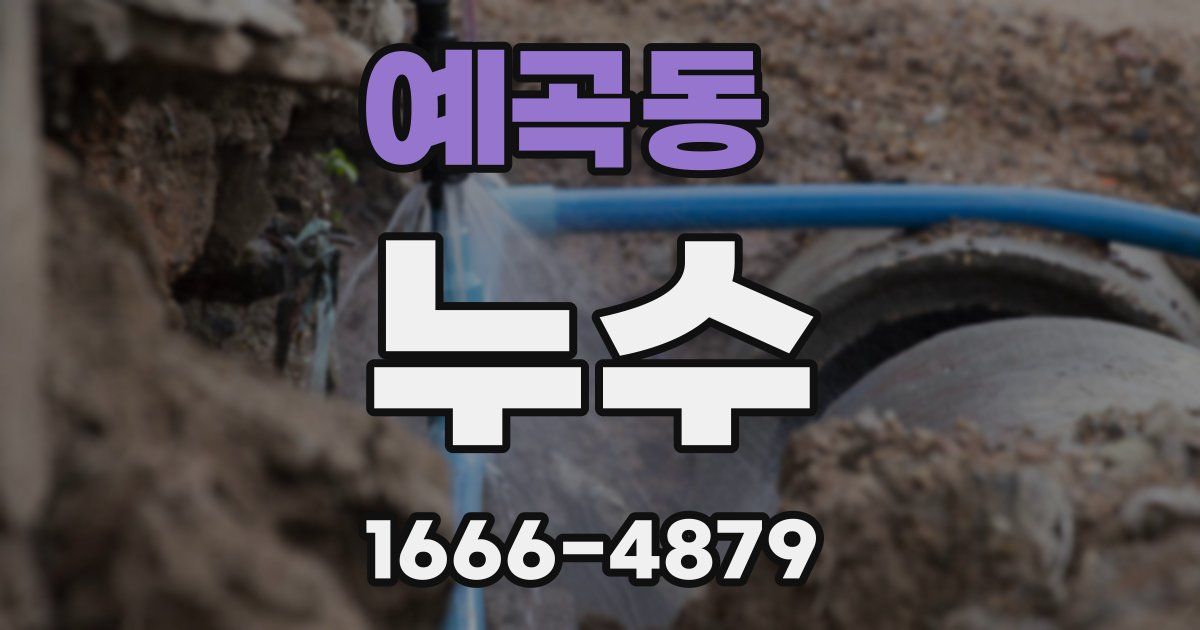 예곡동 누수