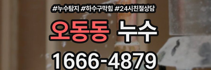 오동동 누수