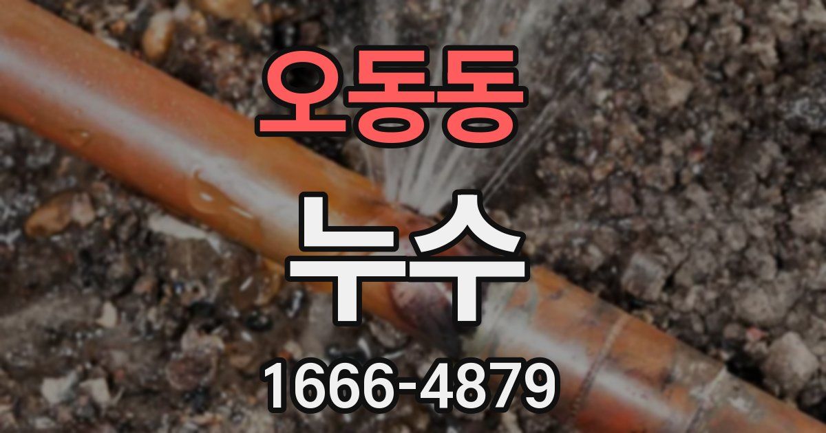 오동동 누수