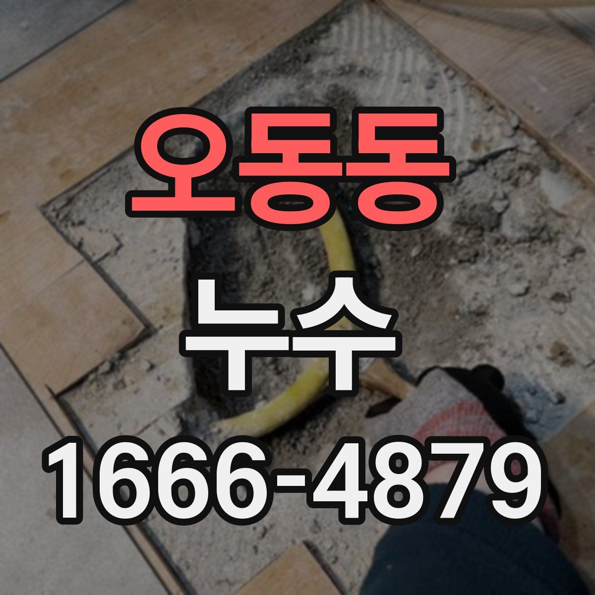 오동동 누수