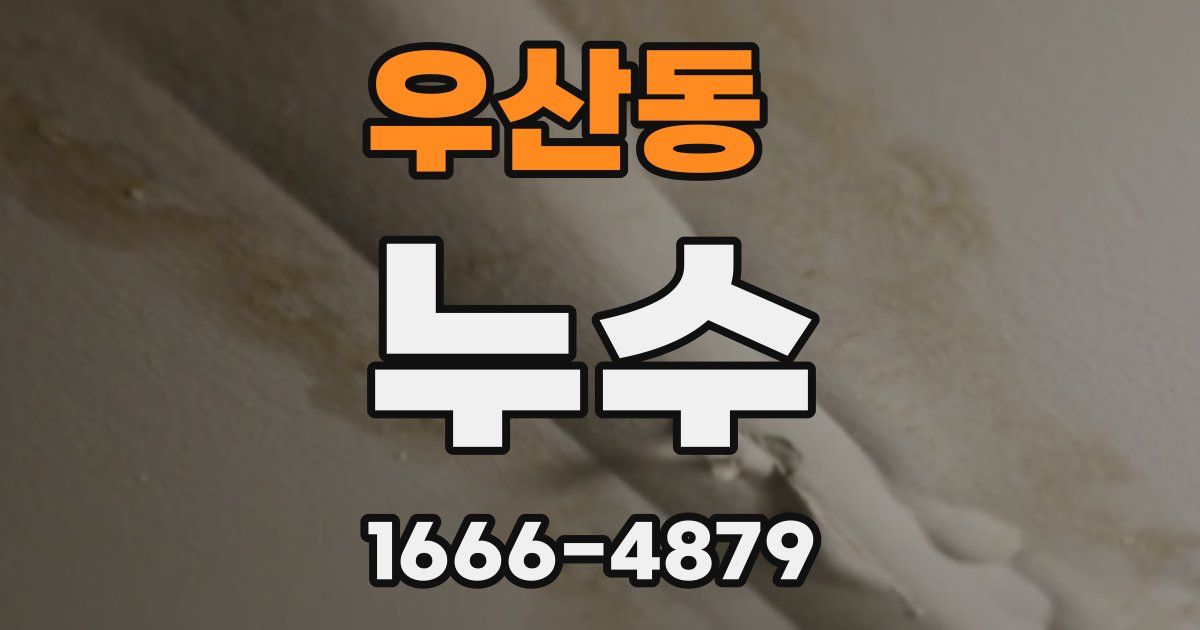 우산동 누수