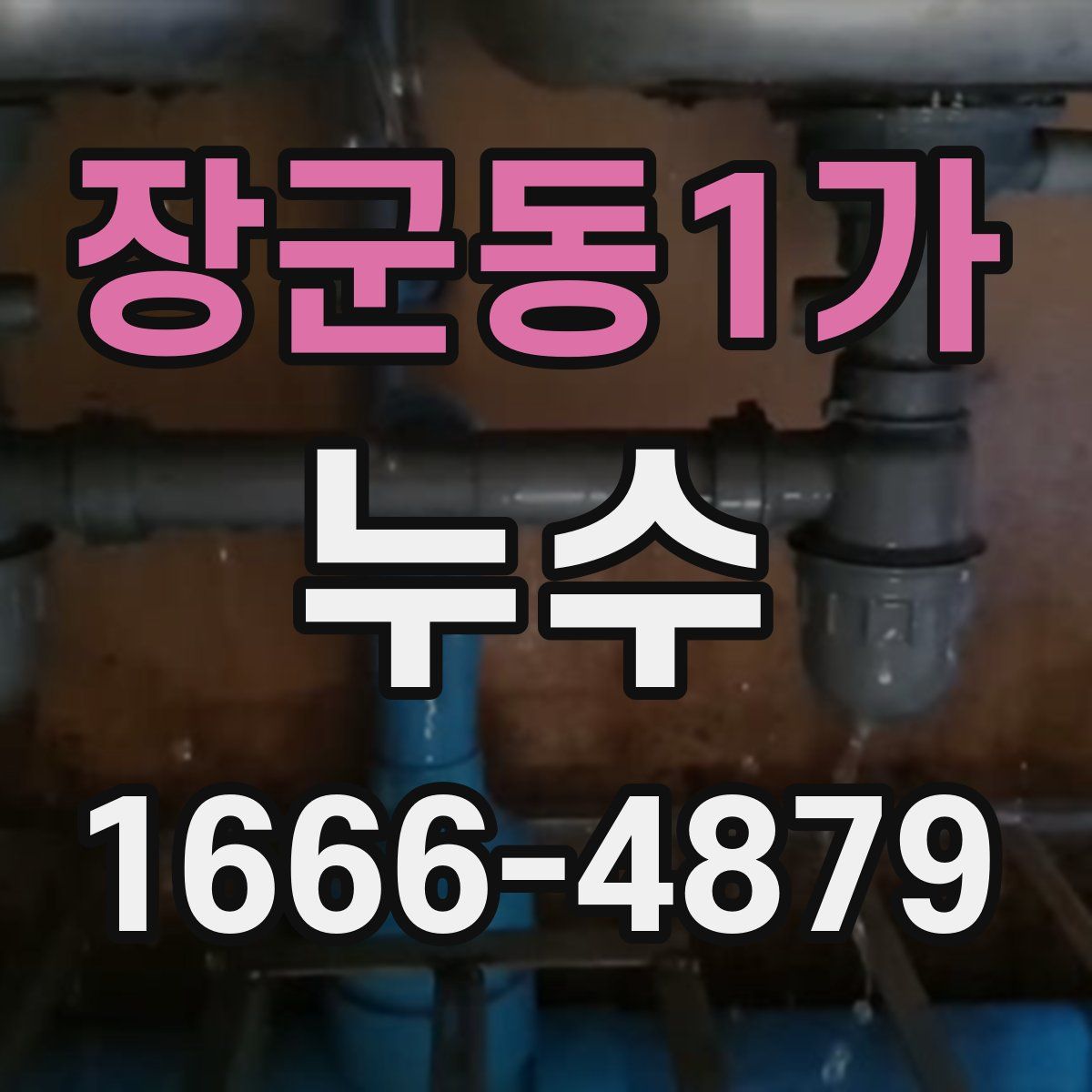 장군동1가 누수