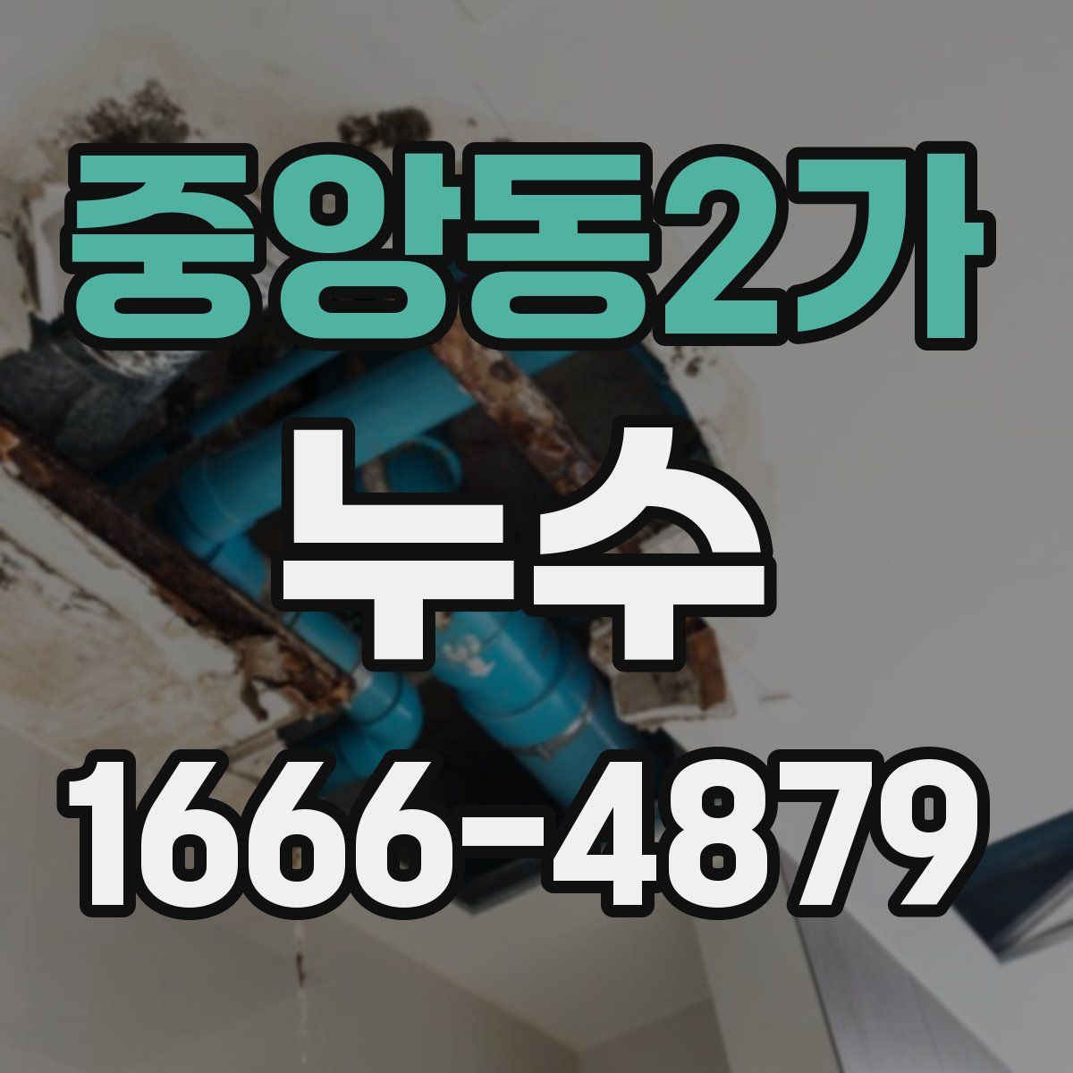 중앙동2가 누수