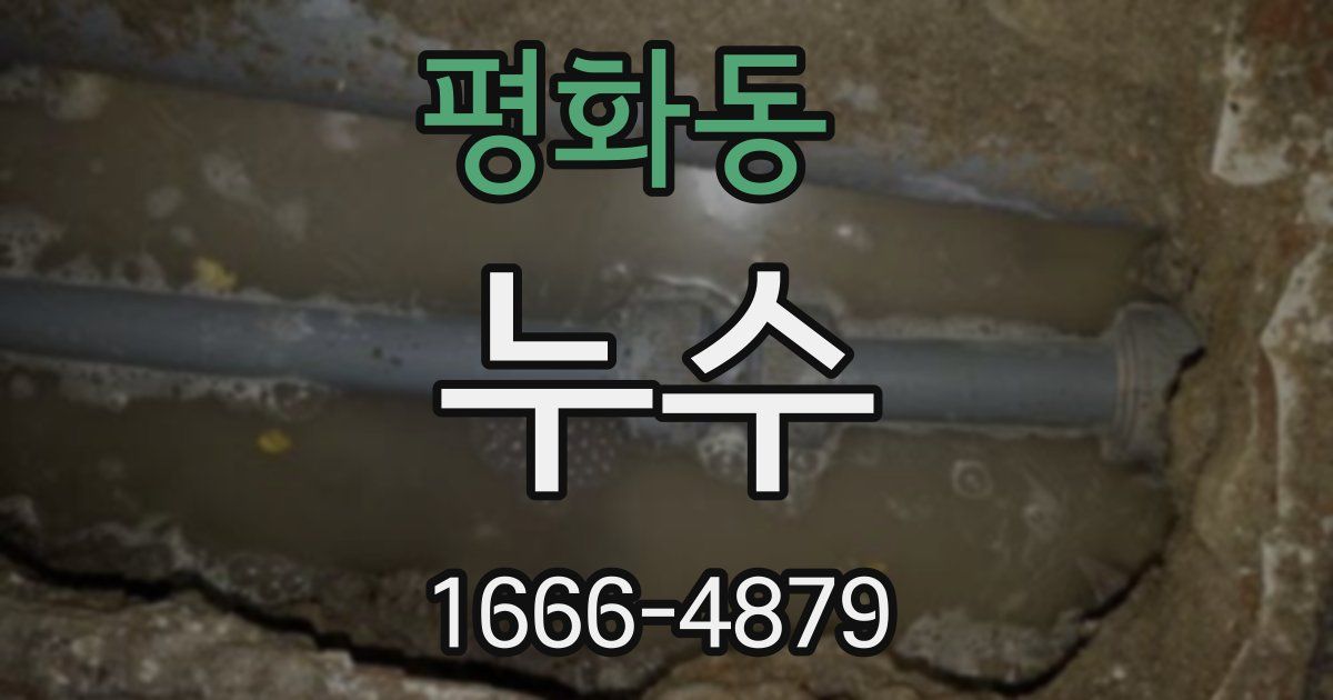 평화동 누수