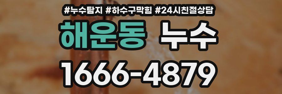 해운동 누수