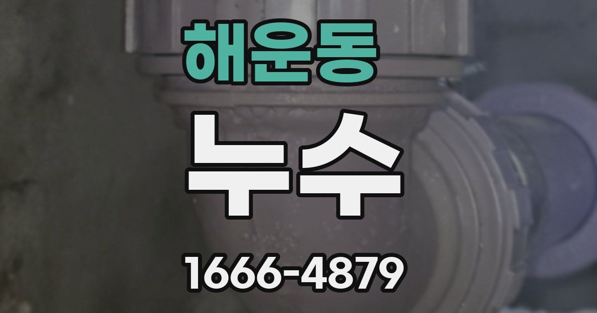 해운동 누수