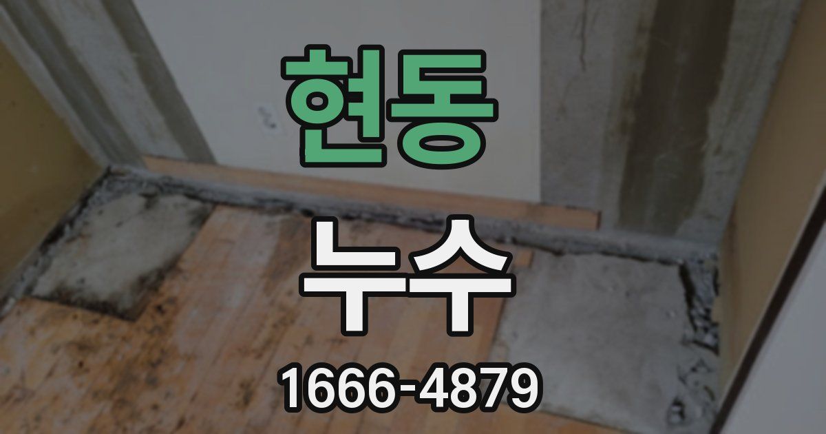 현동 누수