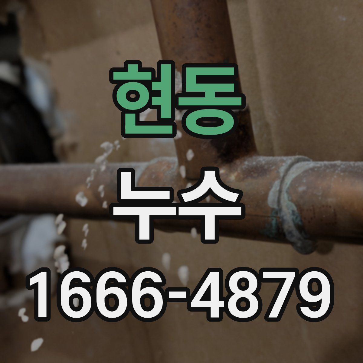 현동 누수