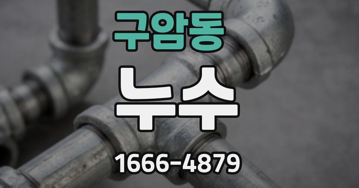 구암동 누수