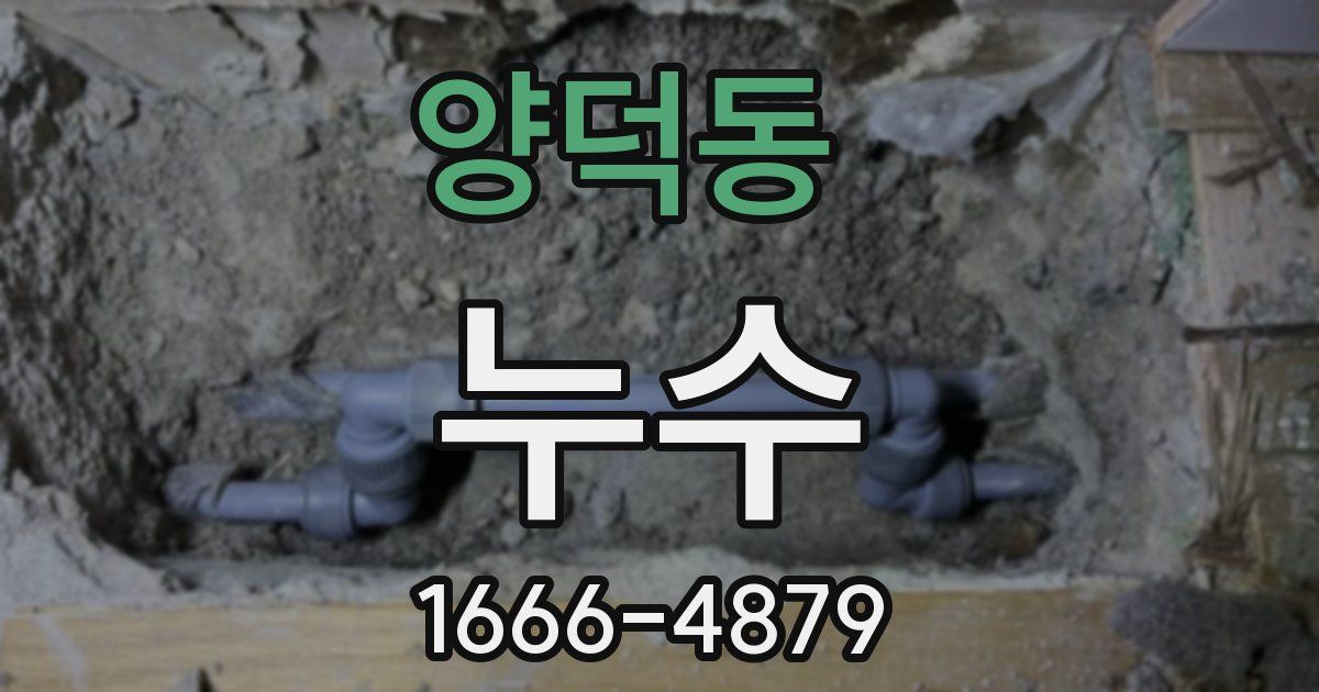 양덕동 누수
