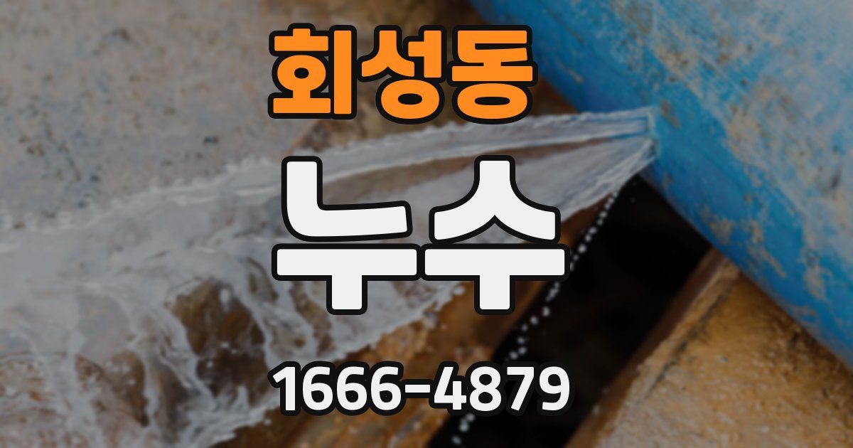 회성동 누수