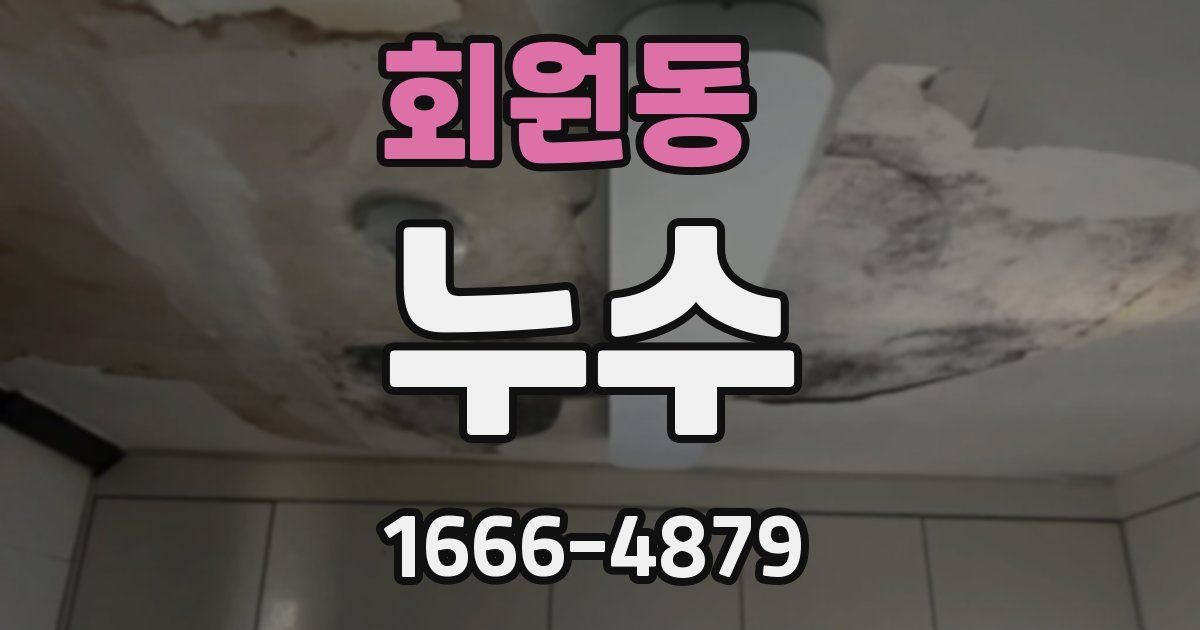 회원동 누수
