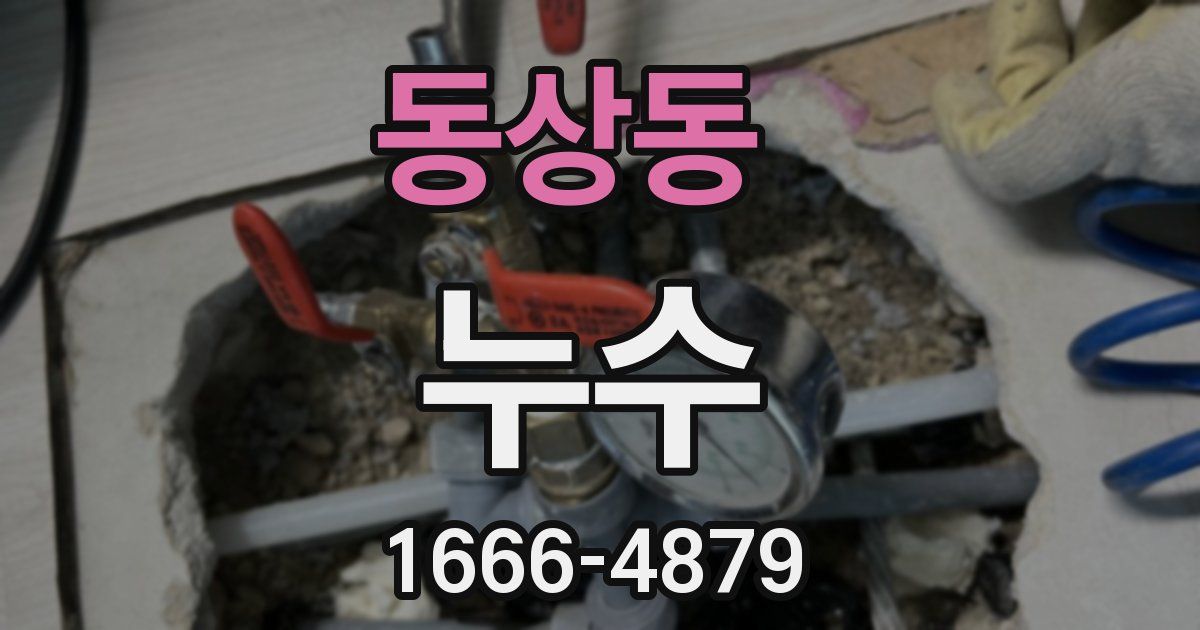 동상동 누수