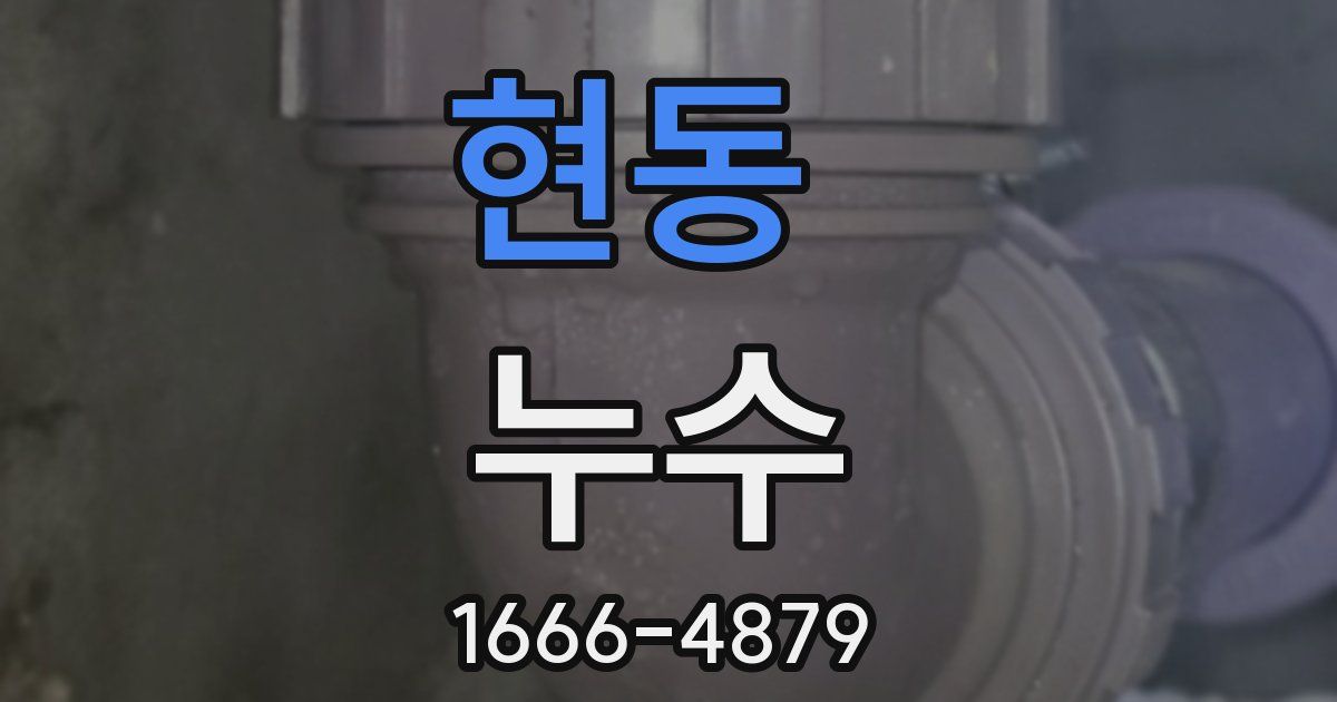 현동 누수