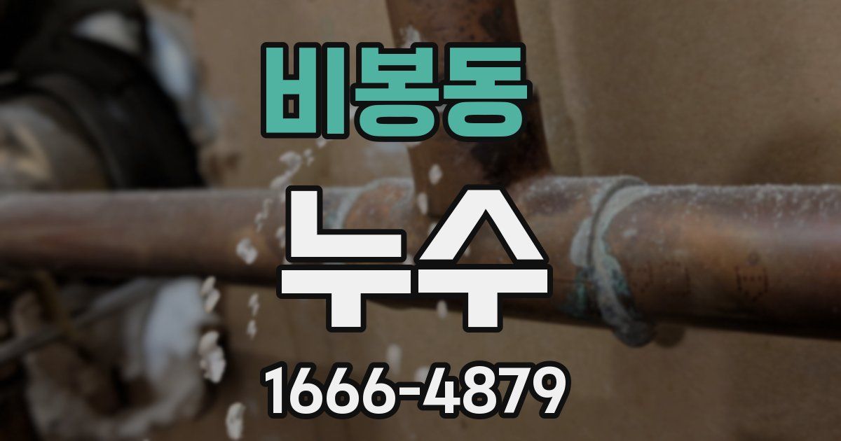 비봉동 누수