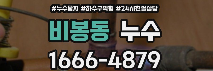 비봉동 누수