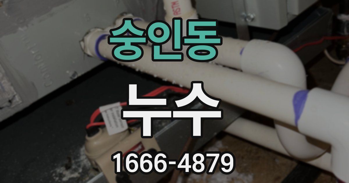 숭인동 누수