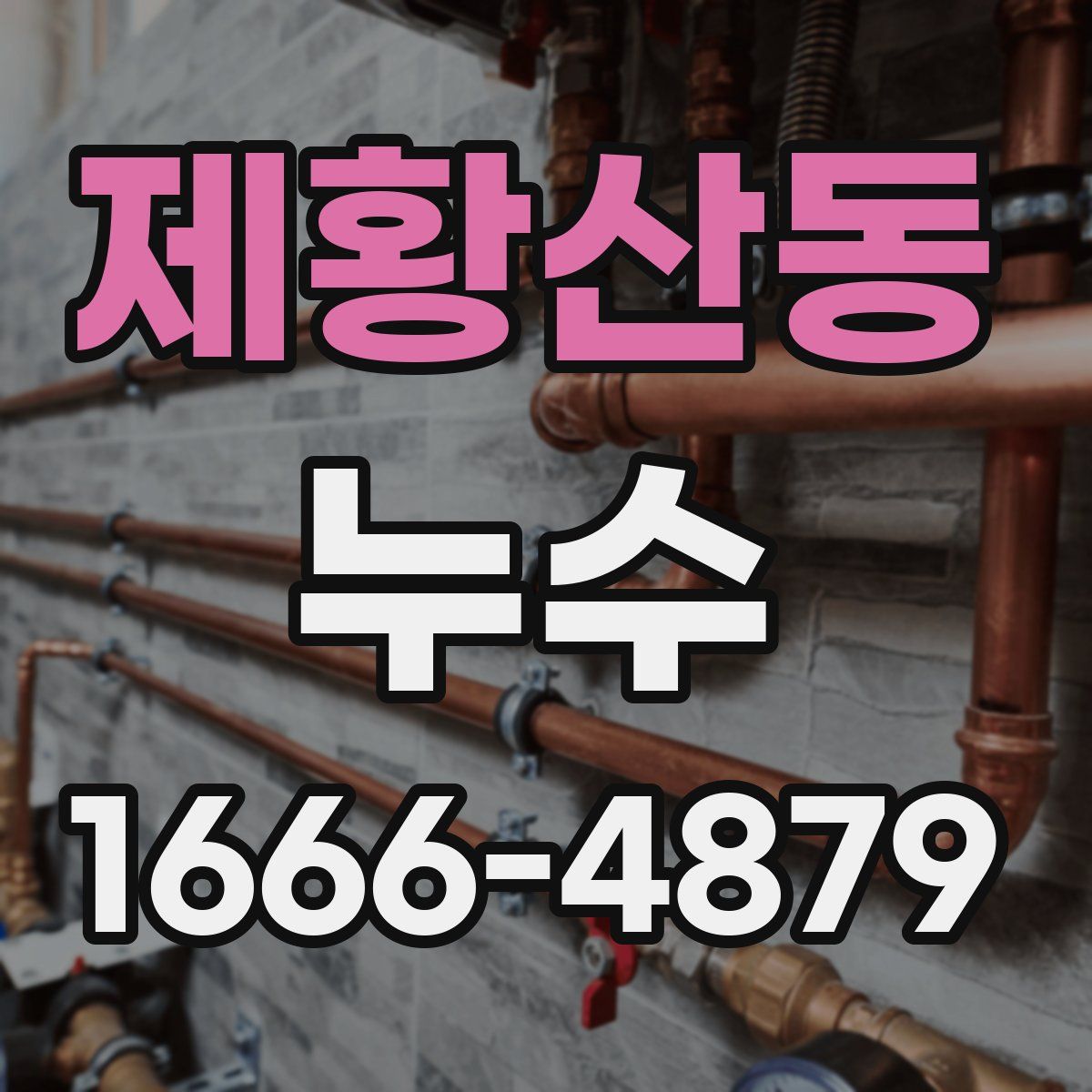 제황산동 누수