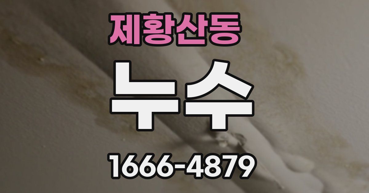 제황산동 누수