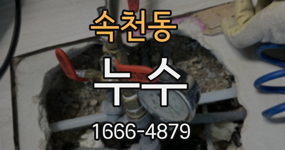 속천동 누수