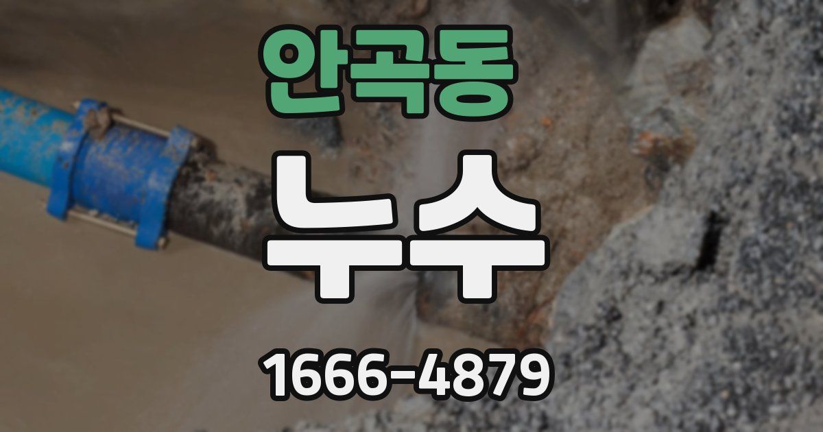 안곡동 누수
