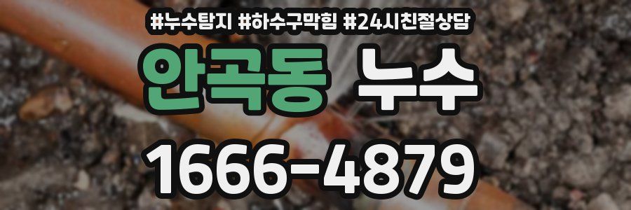 안곡동 누수