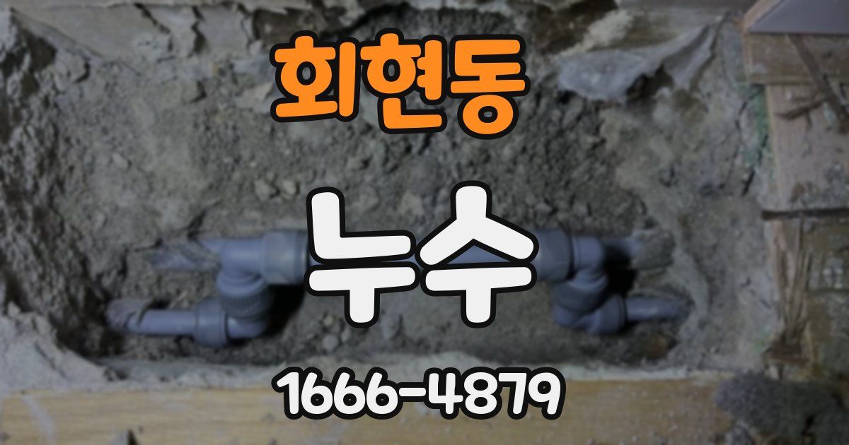 회현동 누수