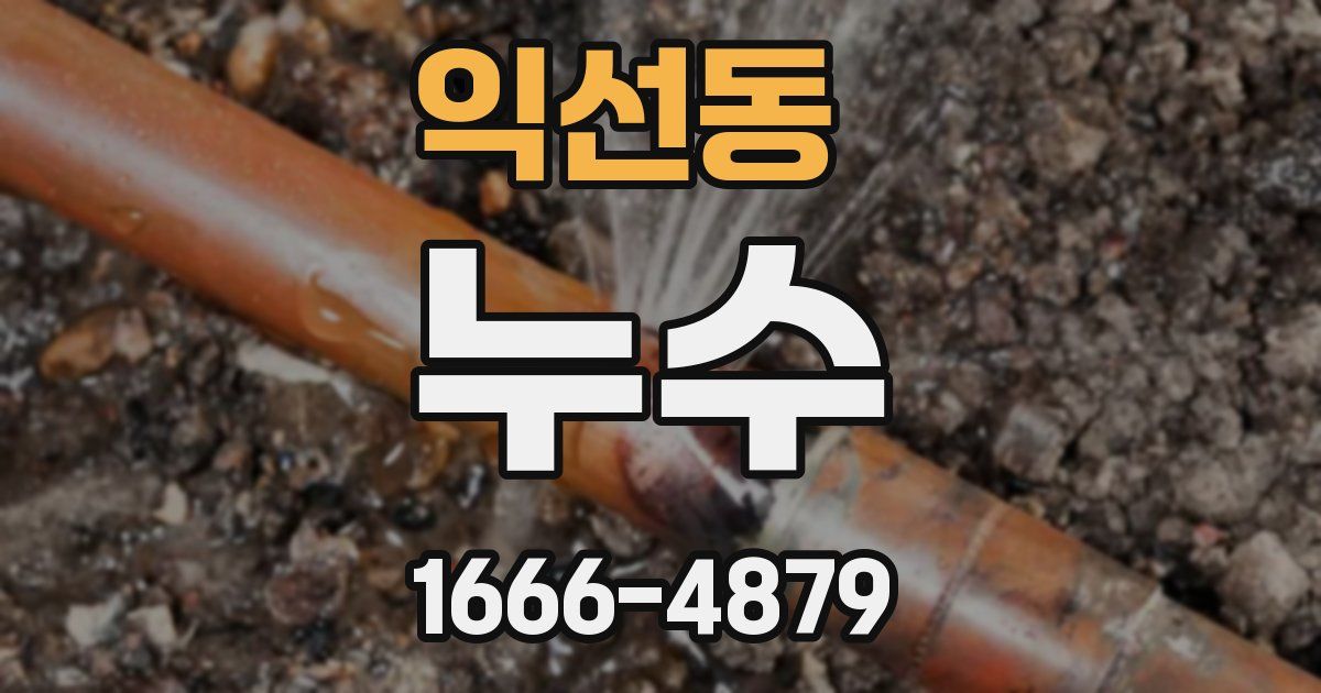 익선동 누수