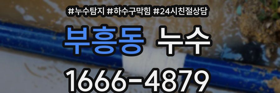 부흥동 누수