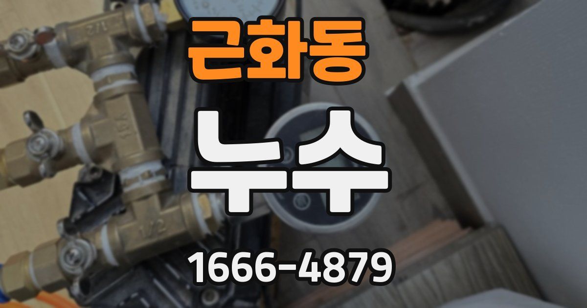 근화동 누수