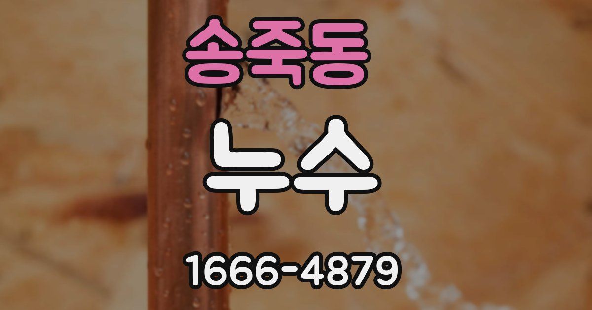 송죽동 누수