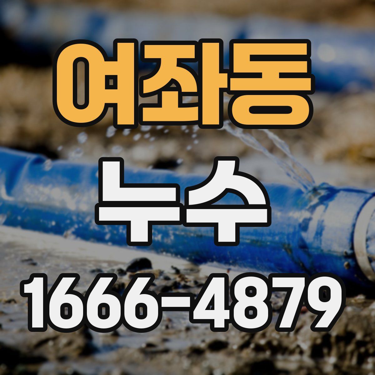 여좌동 누수